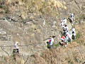登山道は大人一人位の幅員です。
